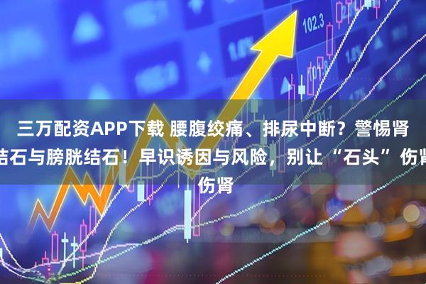 三万配资APP下载 腰腹绞痛、排尿中断？警惕肾结石与膀胱结石！早识诱因与风险，别让 “石头” 伤肾